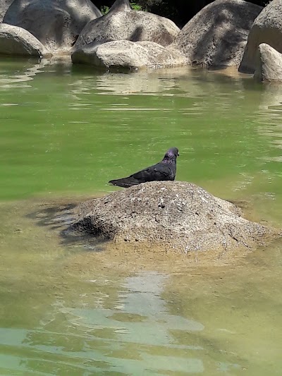 Photos of Seyhan Belediyesi Doğal Dinlenme Parkı