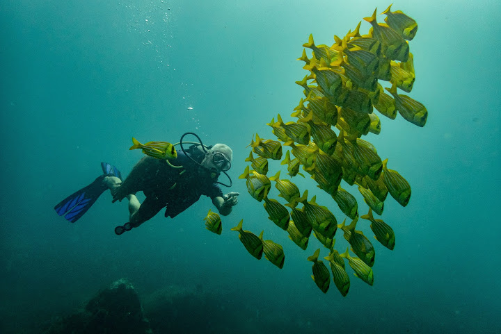 Nautilus Dive Tech by null