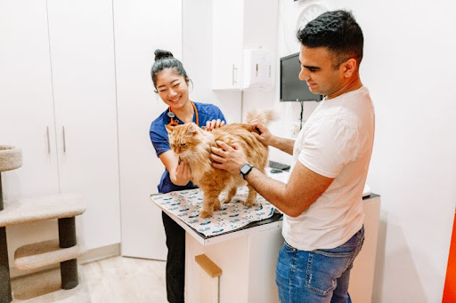 Rockdale Veterinary Hospital