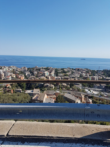 Ledakos Arena S.S.D LEDAKOS