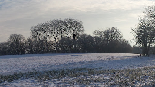 Gemeinde Aura - Visual