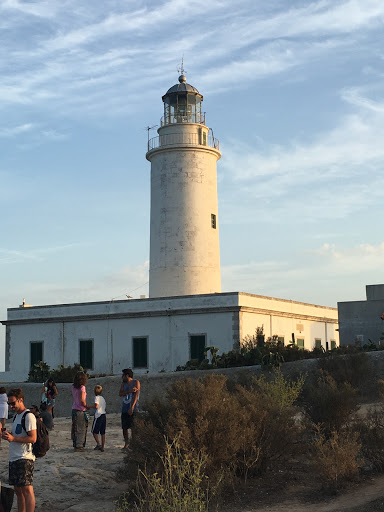 Pharos Viaggi - Visual