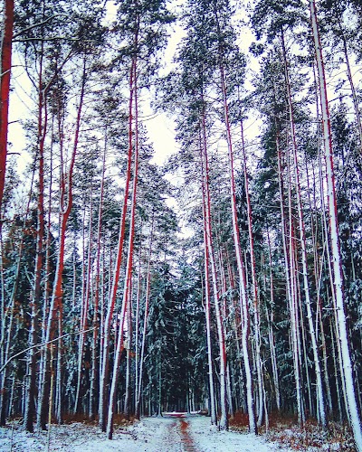 Photos of Pecherskoye Ozero