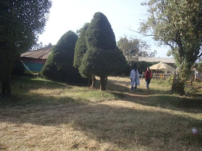 Photos of Kachisi High School
