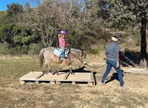 Photo n°3 de Les ecuries du mistral à La Bastide-des-Jourdans (Centre équestre)