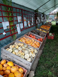 Photo n°3 de Jardins de la Solidarité - CRICS à Loireauxence (Association ou organisation)
