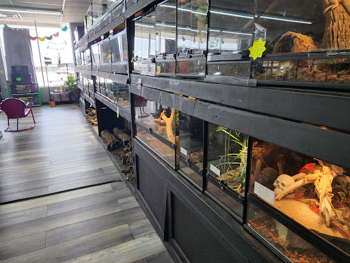 Grant Family Exotics