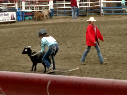 North Thompson Fall Fair Hall Gallery - Canada