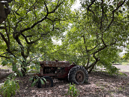 Agroecológico Cascadas - Thumbnail