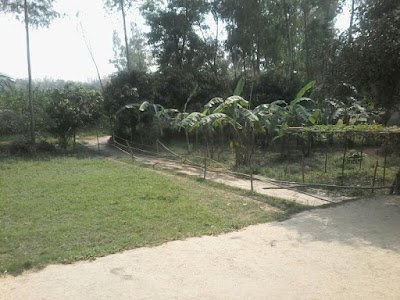 Photos of Naihaty