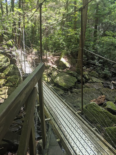 Collins Gulf at South Cumberland State Park