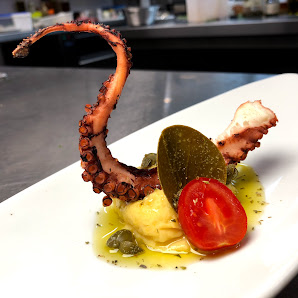 Pulpo