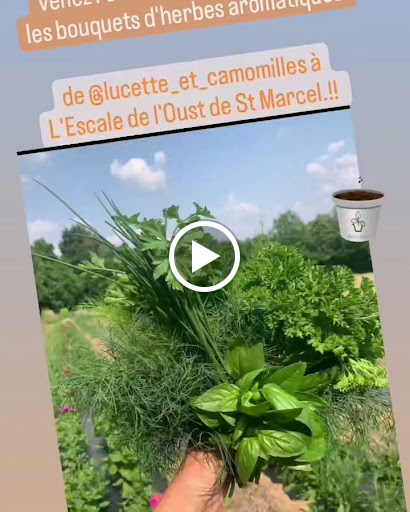 Photo de L'Escale de l'Oust à Saint-Marcel (56140)