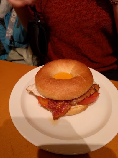Photos of Gr&aacute;i K&ouml;tturinn