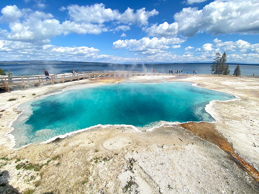 Mimulus Pool - Visual