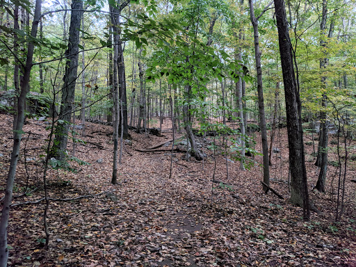 Hardscrabble Wilderness Area - Thumbnail