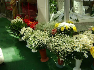 Photos of Kevser Cicek Evi