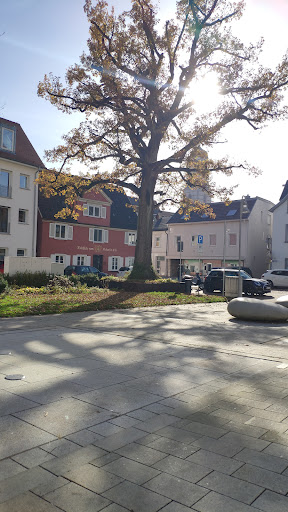 Brunnen - Alter Postplatz - Thumbnail
