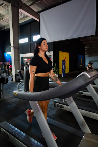 Vita Gym