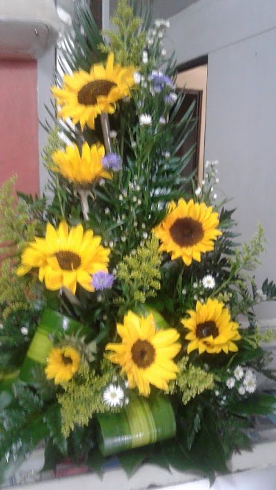 Photos of Floristeria Mis D" LIRIOS