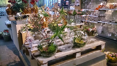 Photos of Intratuin 's Gravenzande