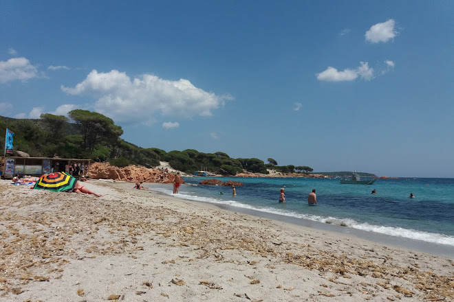 Visit Plage De Palombaggia On Your Trip To Porto Vecchio Or