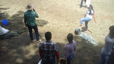 Photos of San Juan De arama Main Park