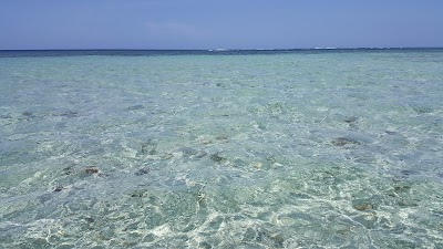 Photos of Isle a Rat