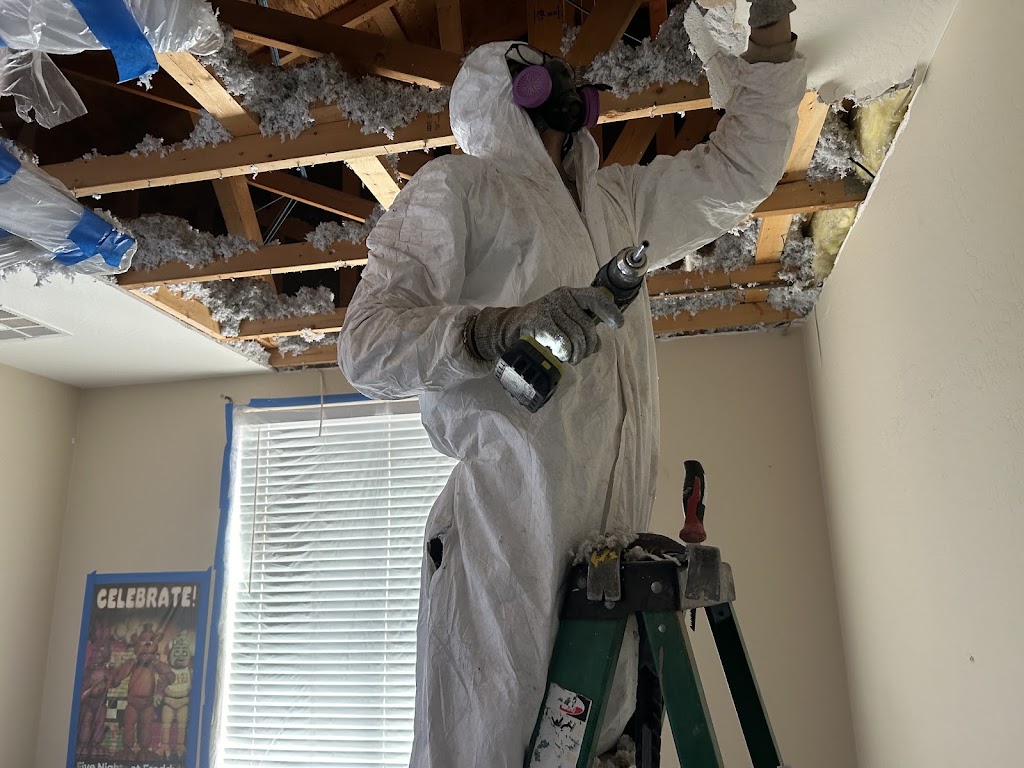 Disaster Services Mesa photo