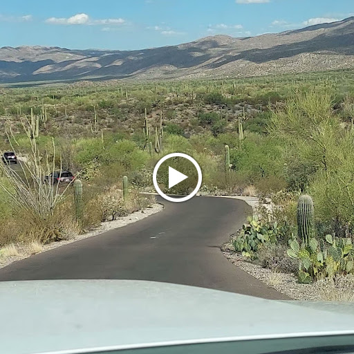 Cactus Forest Drive Parking Lot - Thumbnail