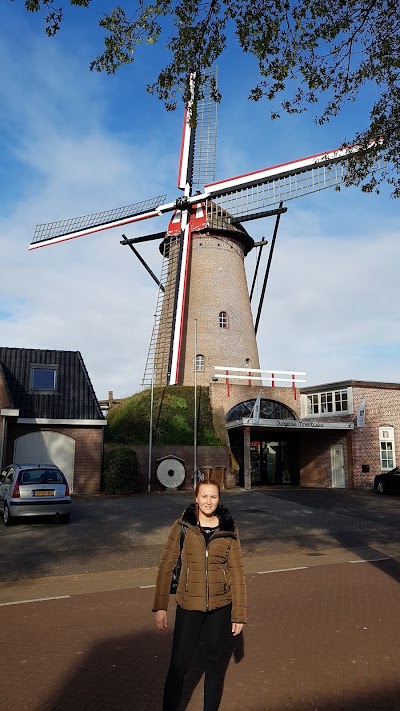 Den Dungen, Dungens Molen