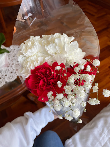Flores May - Visual
