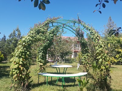 Photos of Pavilion Guest House