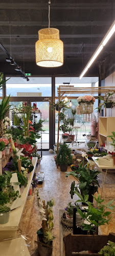 Mily fleurs