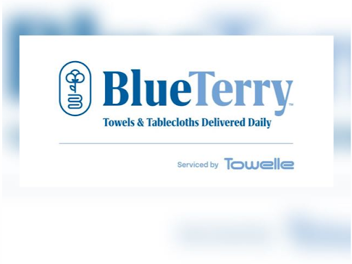 BlueTerry - Visual