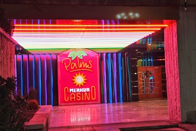 Photos of Palms Mercur