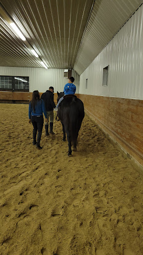 Pringle Stables - Visual