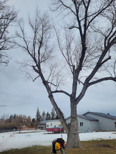 Cost Cutters Tree Service