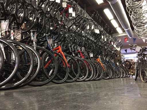 The Cyclepath - Visual