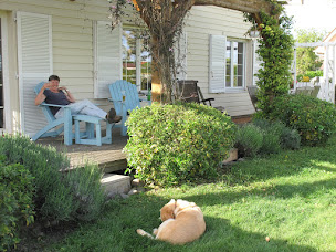 Photo n°8 de Chêne et érable - chambres d'hôtes à Labastide-Cézéracq (Chambre d'hôtes)