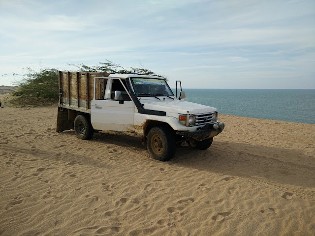 Las Dunas del Taroa