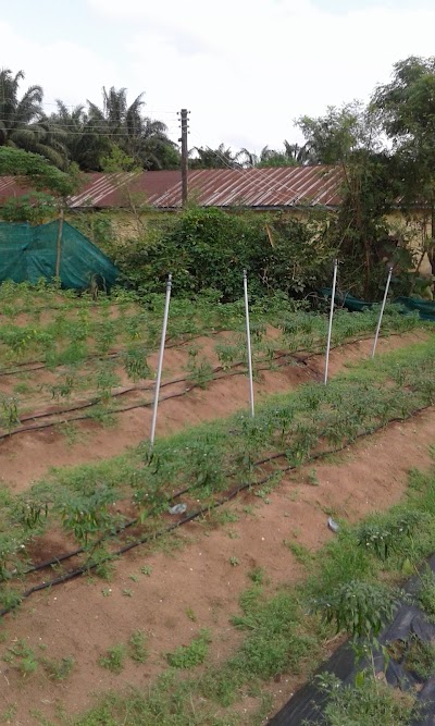 Photos of Songhai Redemption Farm