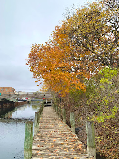 Boardman River Deck - Visual