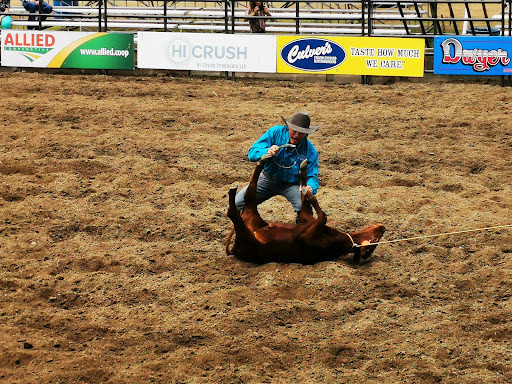 Monroe County Fair - Thumbnail