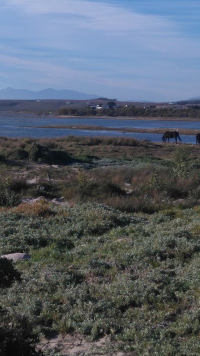 Photos of Flamingo Lake