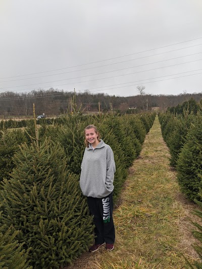 John T Nieman Nursery & Landscaping