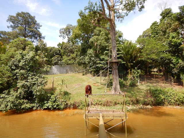 Sepilok Orangutan Rehabilitation Centre