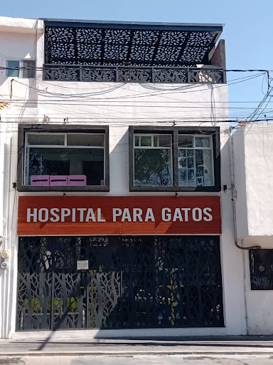 Pascal Hospital Veterinario Y Estética Canina