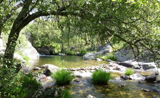 Madrid Ecotour - Thumbnail