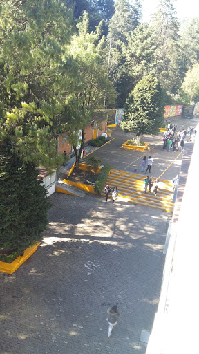 Cetis 29 - Visual